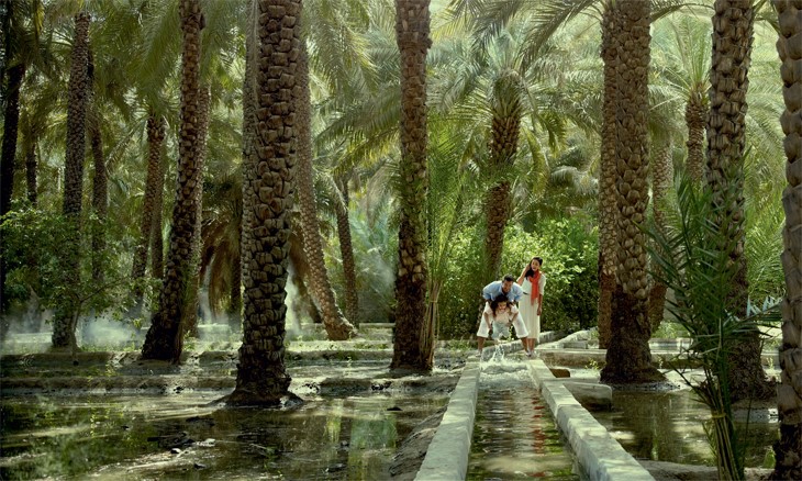 Al Ain Oasis